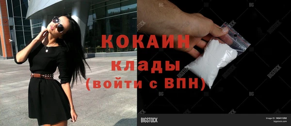 молекула духа Алексин