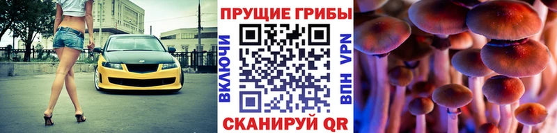 что такое наркотик  Углич  Псилоцибиновые грибы Psilocybine cubensis 