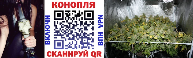 Бошки марихуана планчик магазин продажи наркотиков Углич